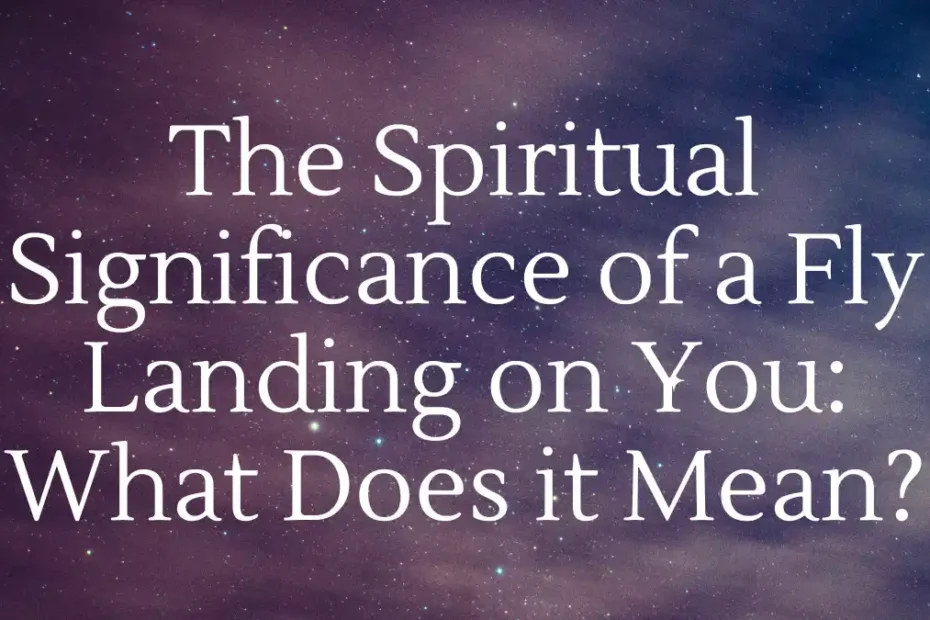 The Spiritual Significance of a Fly Landing on You: What Does it Mean?