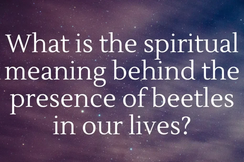 What is the spiritual meaning behind the presence of beetles in our lives?