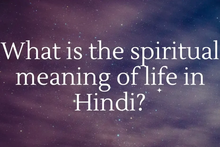 What is the spiritual meaning of life in Hindi?