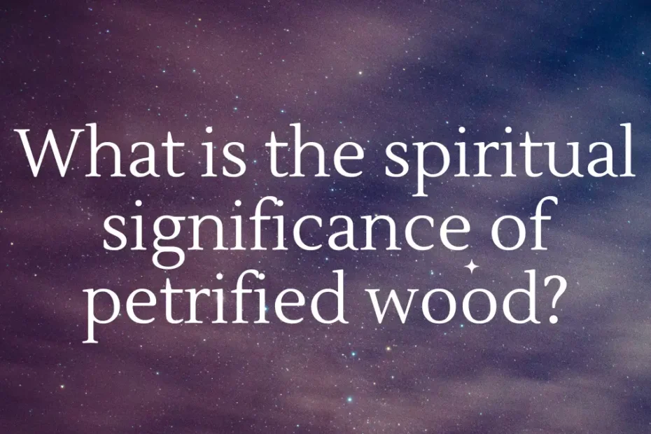 What is the spiritual significance of petrified wood?