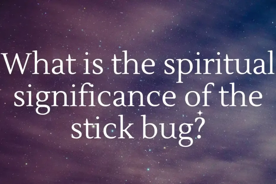 What is the spiritual significance of the stick bug?