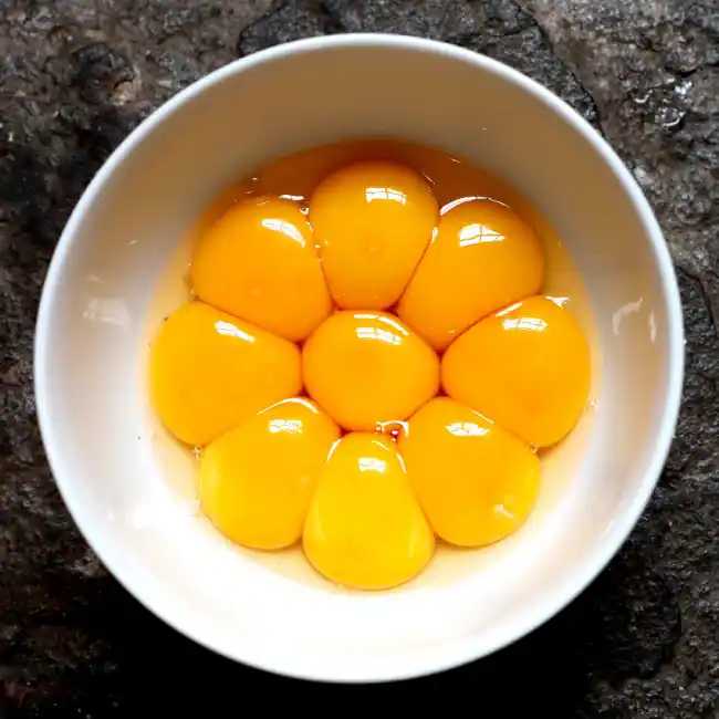 Egg Yolk