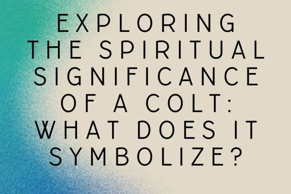 Exploring the Spiritual Significance of a Colt What Does It Symbolize