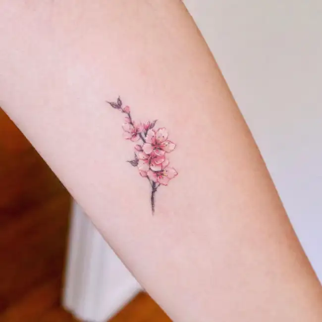 Sakura Flower Tattoo