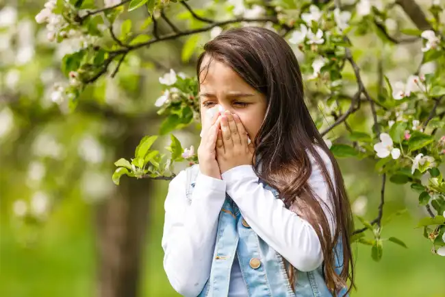 The Deeper Connection: Understanding the Spiritual Meaning of Allergies