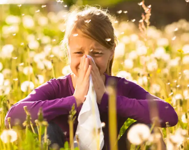 The Deeper Connection: Understanding the Spiritual Meaning of Allergies