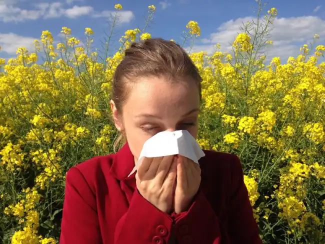 The Deeper Connection: Understanding the Spiritual Meaning of Allergies