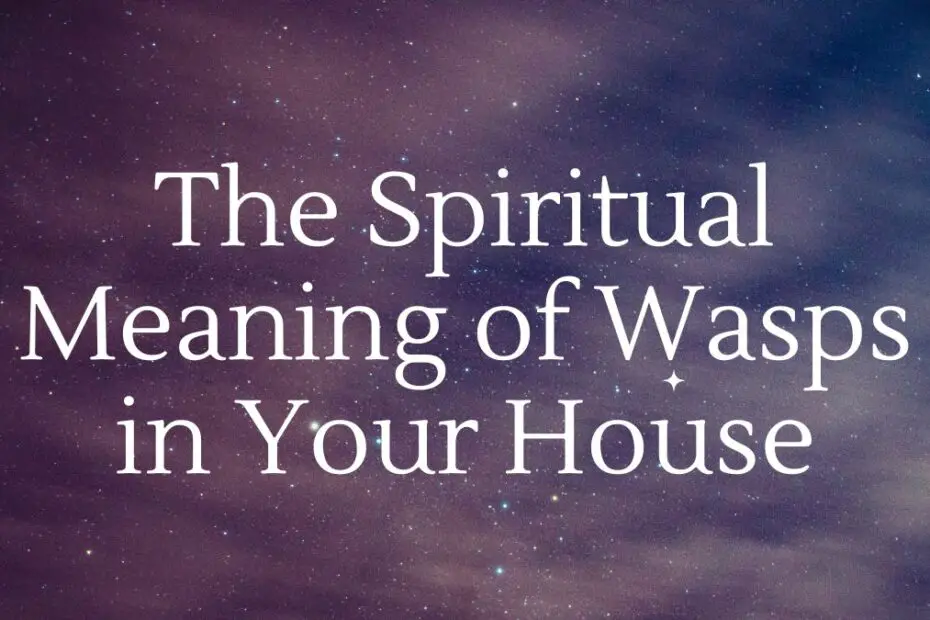 The Spiritual Meaning of Wasps in Your House