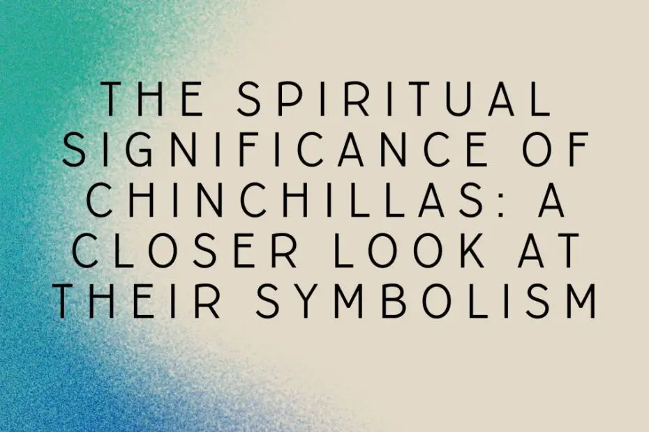 The Spiritual Significance of Chinchillas: A Closer Look at Their Symbolism