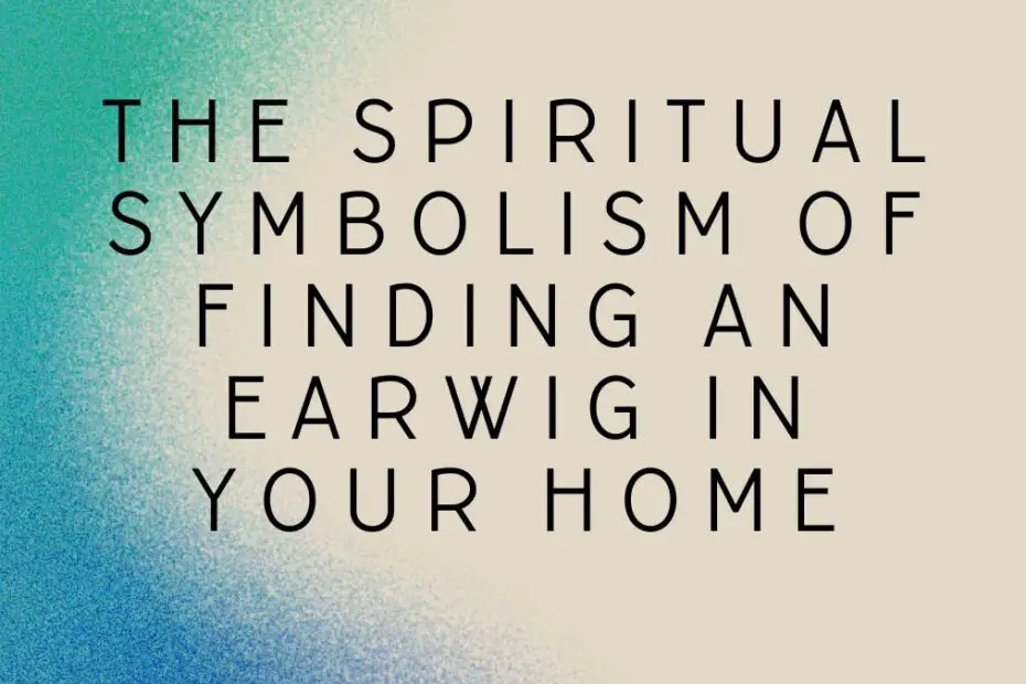 Spiritual Symbolism of Finding an Earwig in Your Home