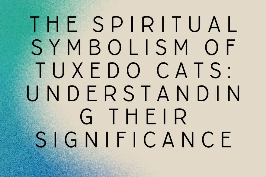 The Spiritual Symbolism of Tuxedo Cats: Understanding Their Significance