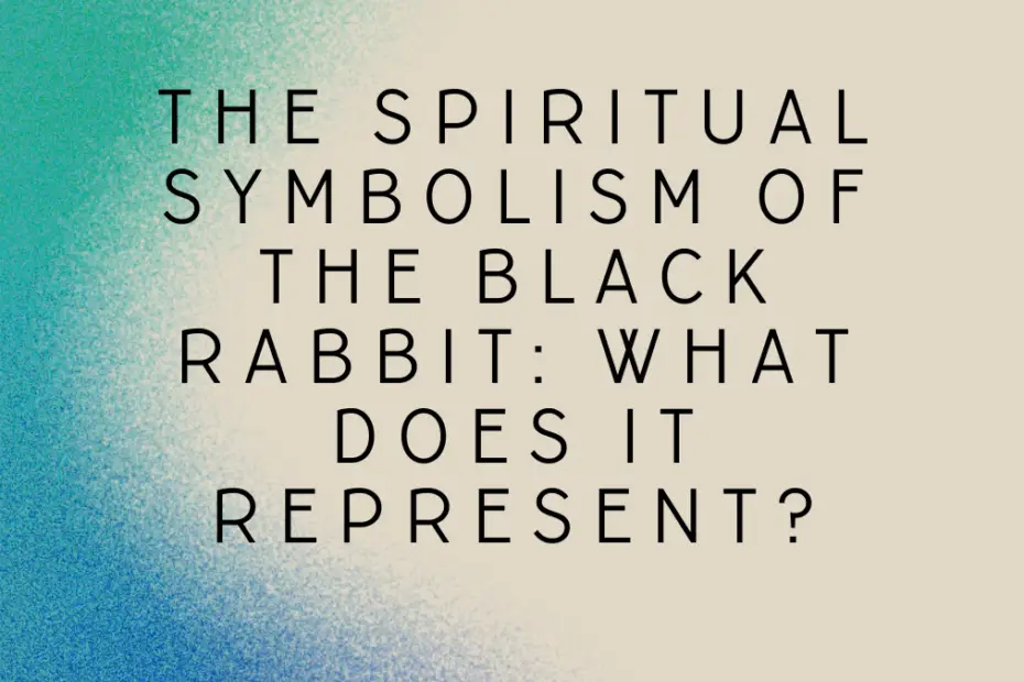 The Spiritual Symbolism of the Black Rabbit: What Does it Represent?