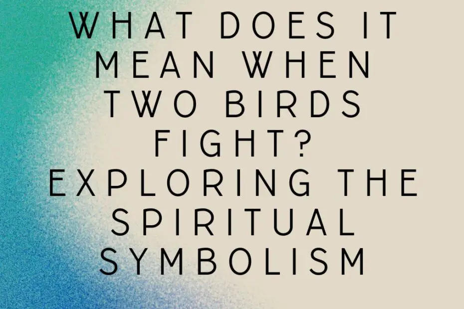 What Does It Mean When Two Birds Fight? Exploring the Spiritual Symbolism