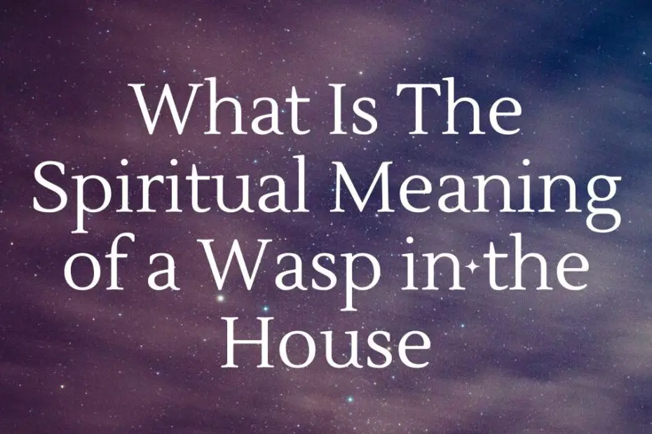 What Is The Spiritual Meaning of a Wasp in the House