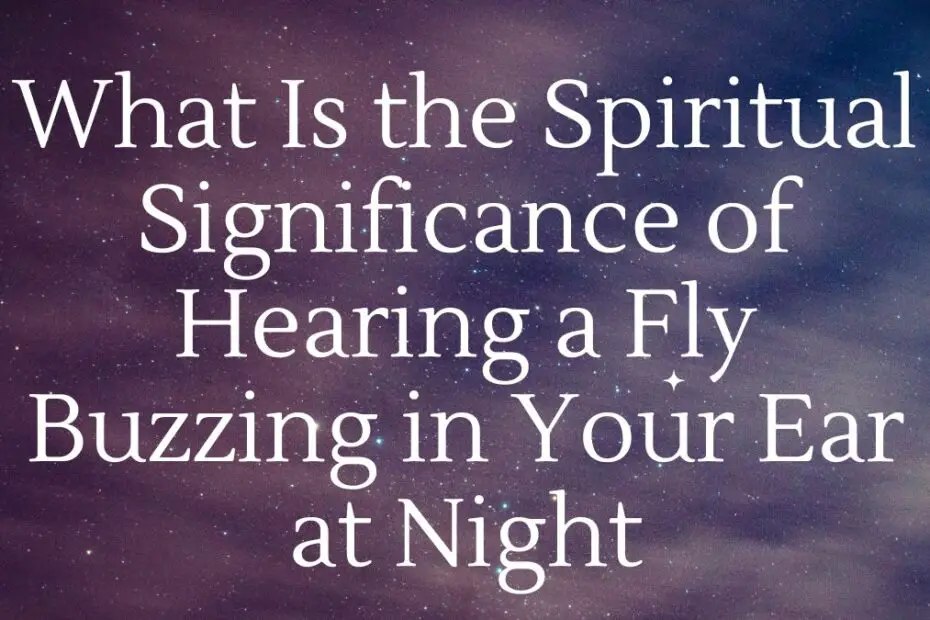 What Is the Spiritual Significance of Hearing a Fly Buzzing in Your Ear at Night