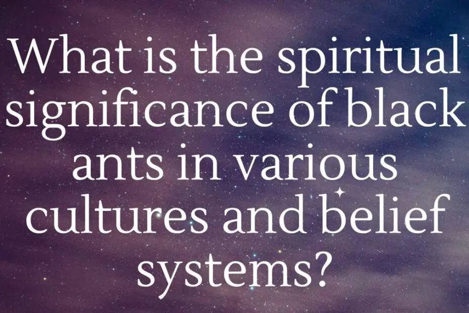 What is the spiritual significance of black ants in various cultures and belief systems?