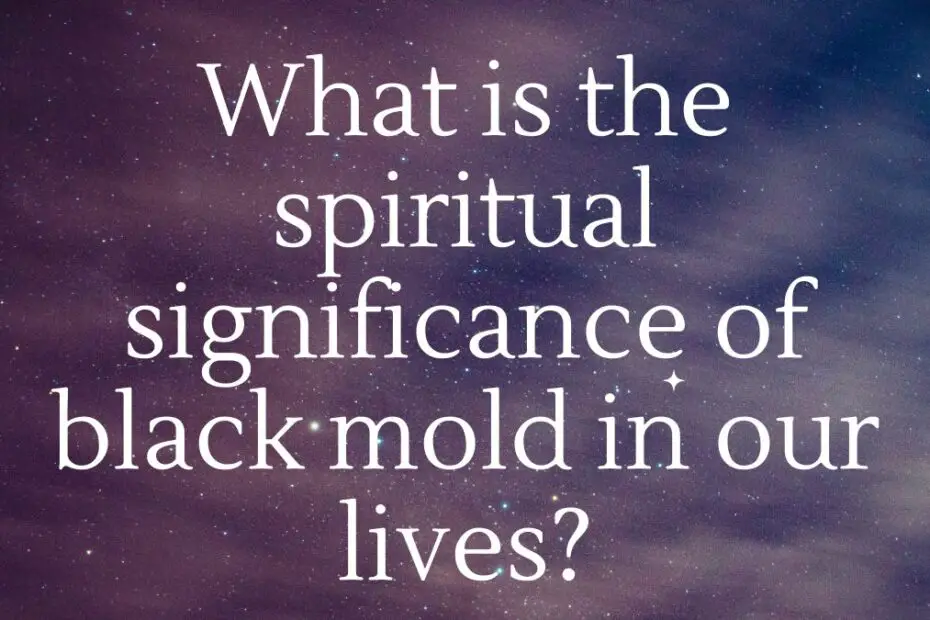 What is the spiritual significance of black mold in our lives?