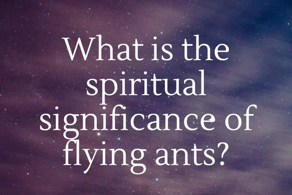 What is the spiritual significance of flying ants?