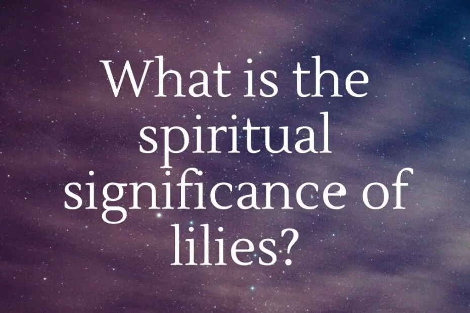 What is the spiritual significance of lilies?