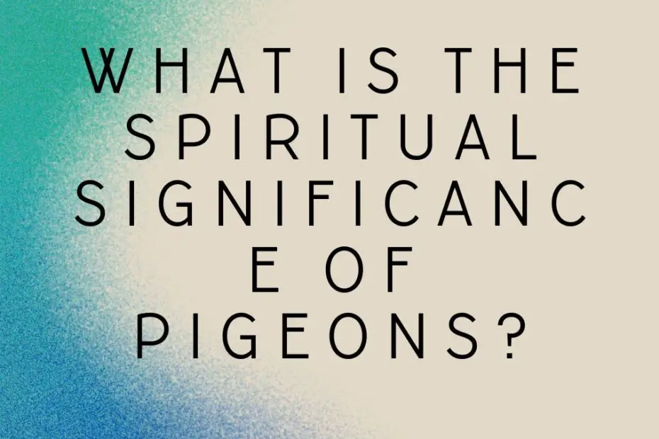 What is the spiritual significance of pigeons?