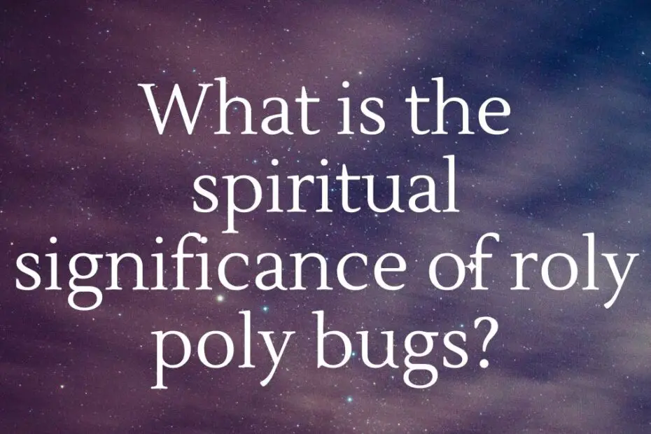 What is the spiritual significance of roly poly bugs?