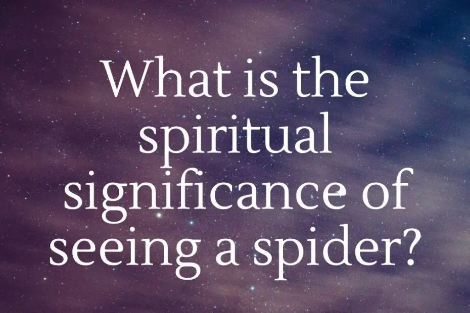 What is the spiritual significance of seeing a spider?