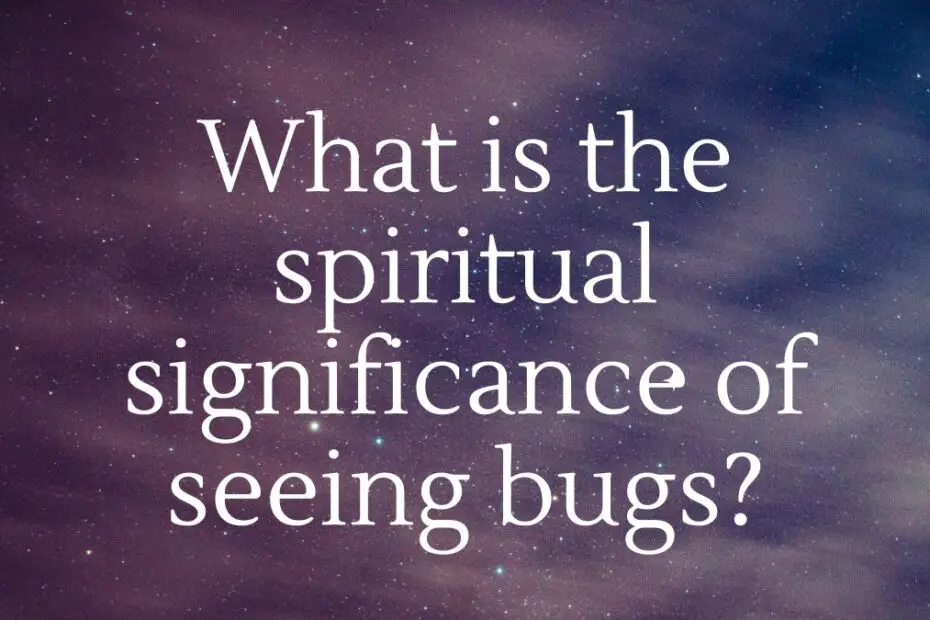 What is the spiritual significance of seeing bugs?