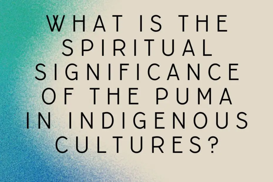 What is the spiritual significance of the puma in indigenous cultures?