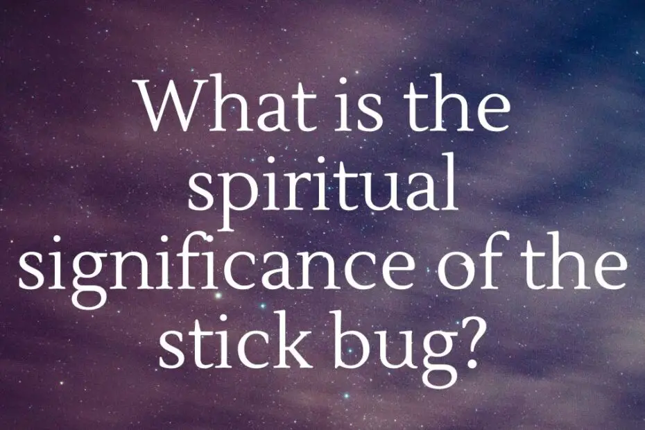 spiritual significance of the stick bug