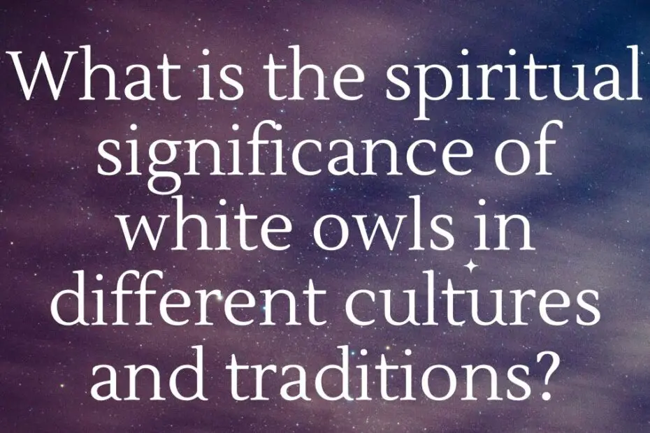 What is the spiritual significance of white owls in different cultures and traditions?