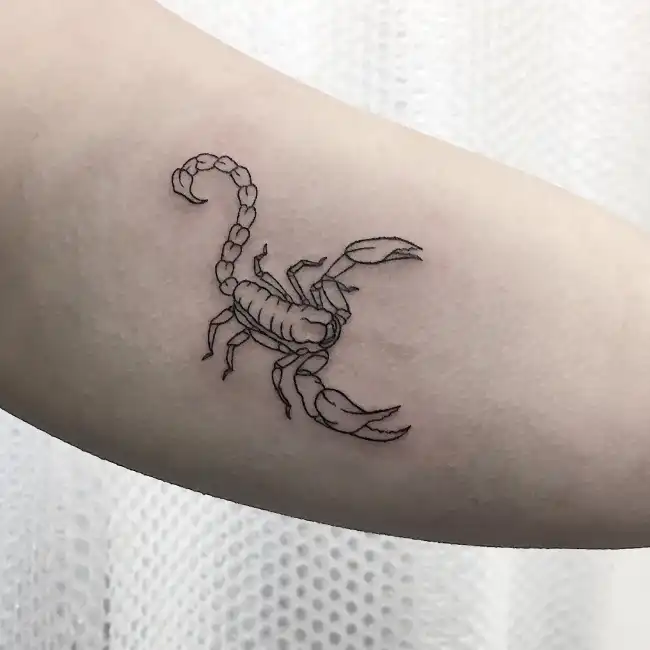 What is the symbolic meaning behind a scorpion rose tattoo?