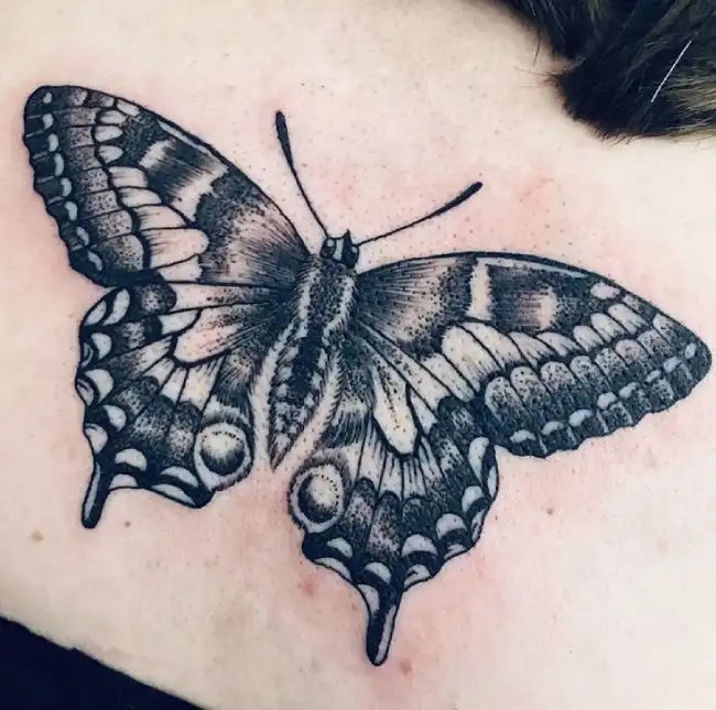 swallowtail butterfly symbolize in tattoo
