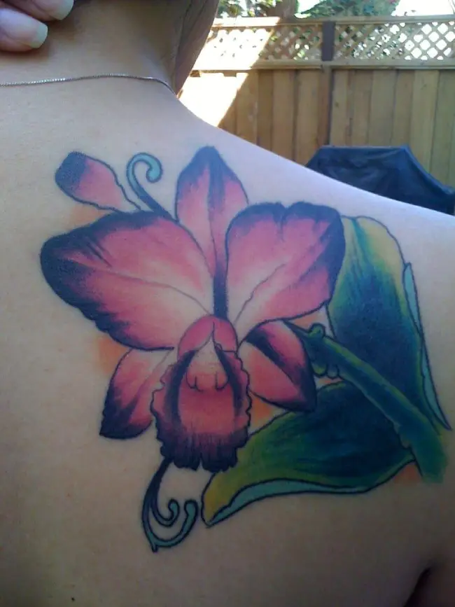 Cattleya Flower Tattoos