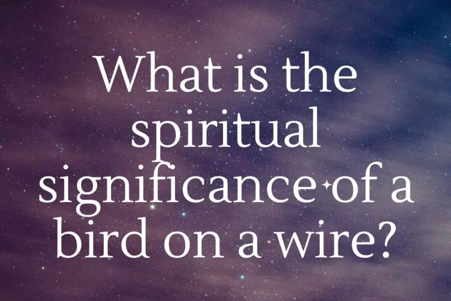 significance of a bird on a wire