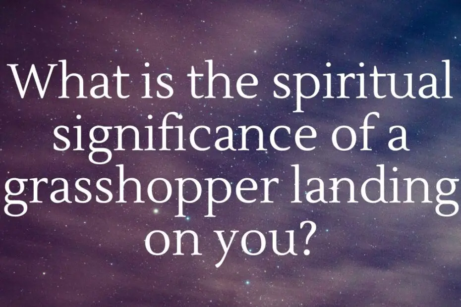 What is the spiritual significance of a grasshopper landing on you?