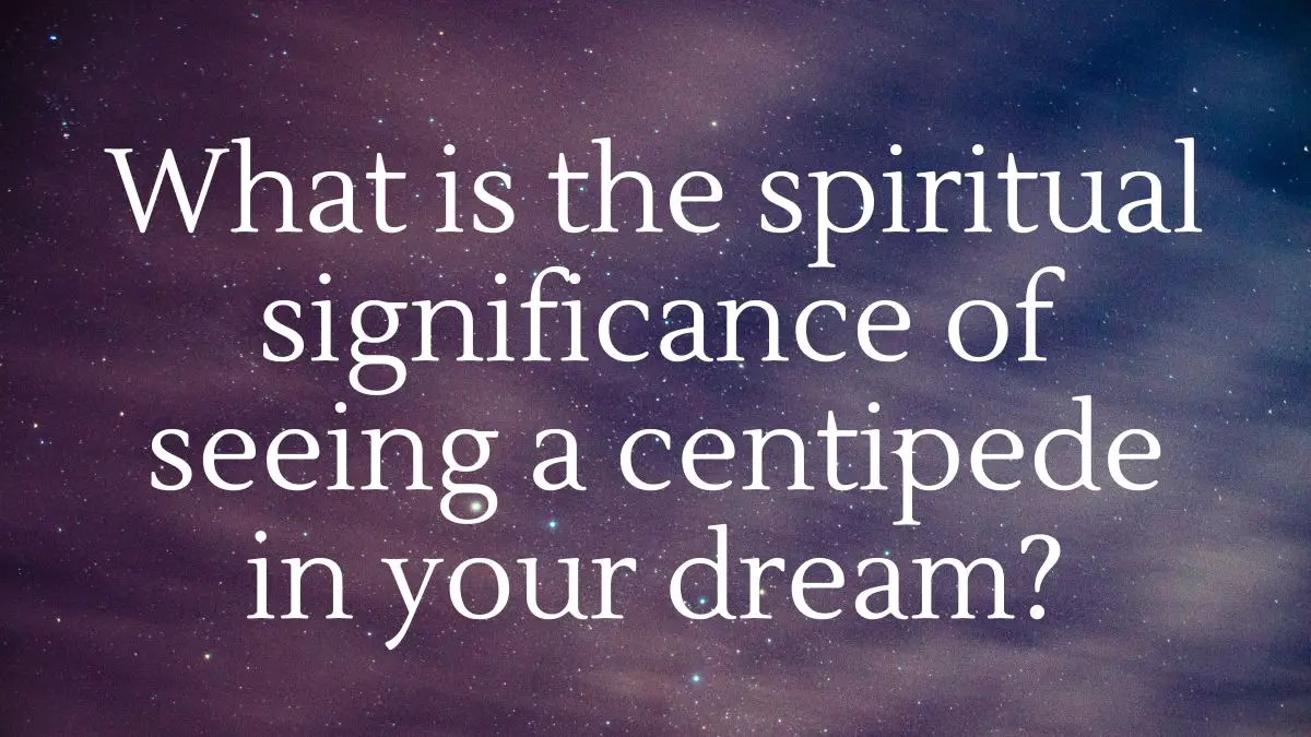 What is the spiritual significance of seeing a centipede in your dream?