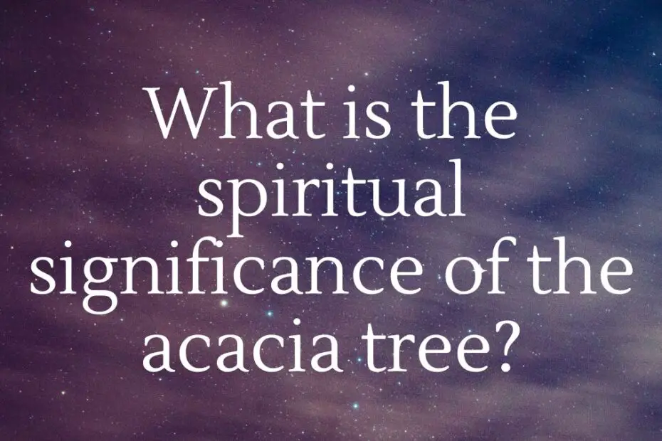 What is the spiritual significance of the acacia tree?